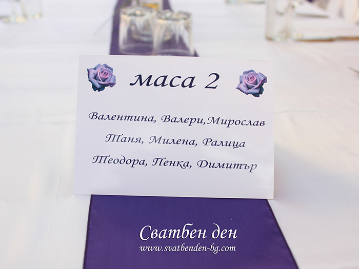 кралско лилаво синкевица